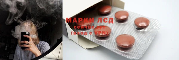 сатива Туринск