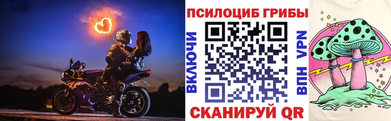 Галлюциногенные грибы Psilocybe  купить  цена  Новотитаровская 