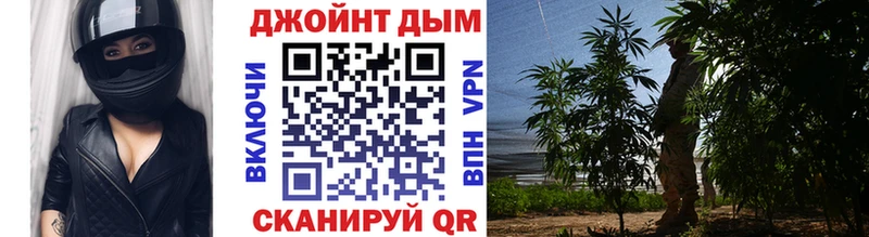 ссылка на мегу ONION  Новотитаровская  Марихуана тримм  где продают наркотики 